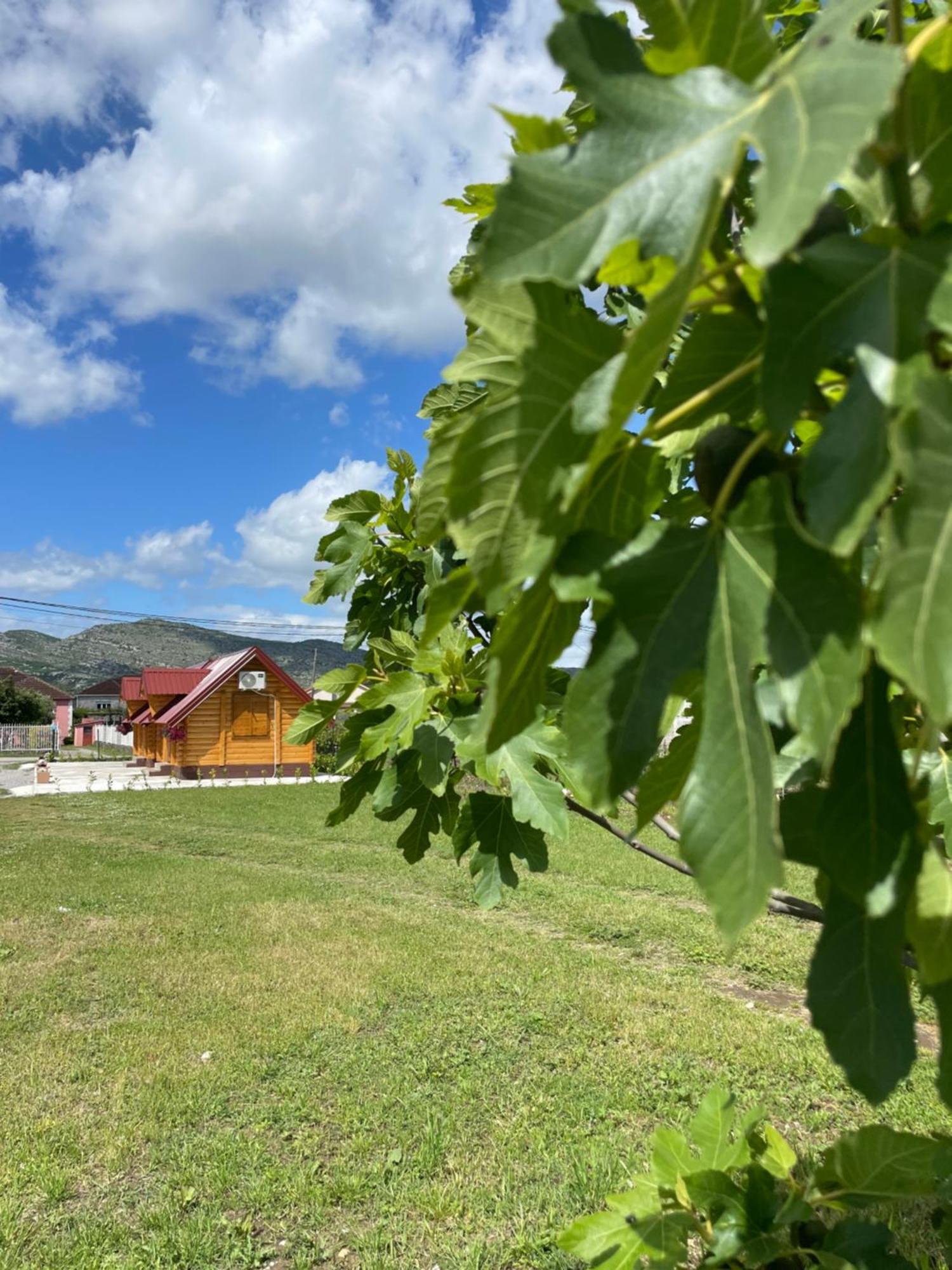 Cozy Bungallows Podgorica Zewnętrze zdjęcie